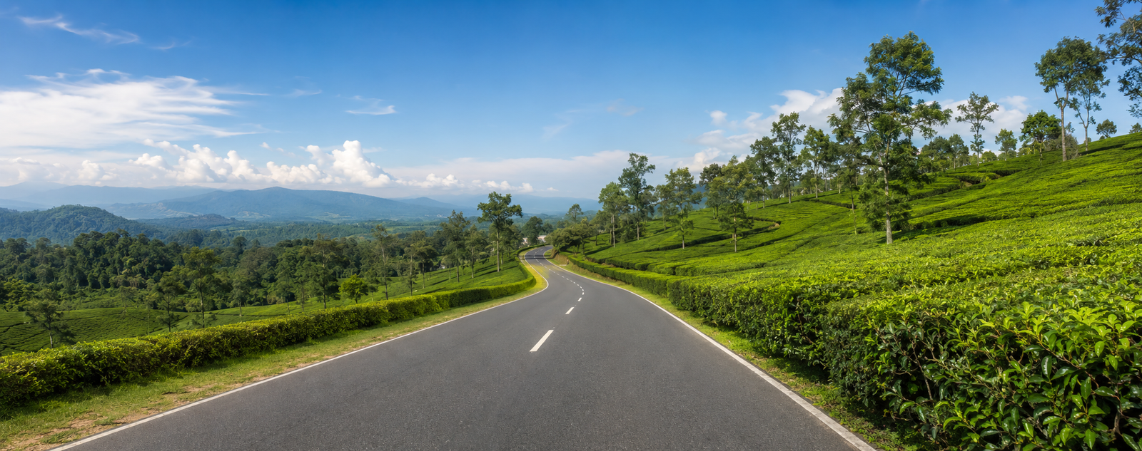 Contact Us for Bike Rent in Sylhet